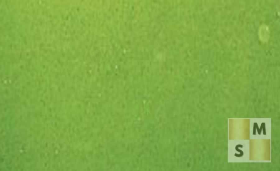 Quartzo Stellares Verde Claro